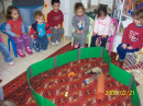 גן ממלכת ילדים פינוקי בחיפה: חוג חיות 