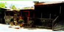 יער האורן - מסעדה ואולם אירועים  טבריה: מסעדת יער האורן 