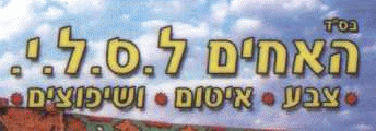 האחים ל.ס.ל.י: לוגו