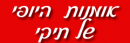 אומנות היופי של תיקי קוסמטיקאית : לוגו 